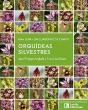 Orquideas Silvestres - Preview