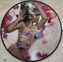 Capa do artigo Orquídeas - Vinil