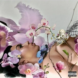 Capa do artigo Orquídeas - Vinil