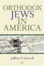 Orthodox Jews In America - Preview