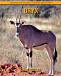 Oryx - Preview
