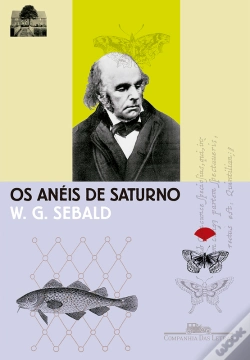 Capa do artigo Os Anéis De Saturno