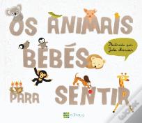 Os Animais Bebés