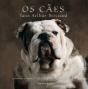 Os Cães - Preview