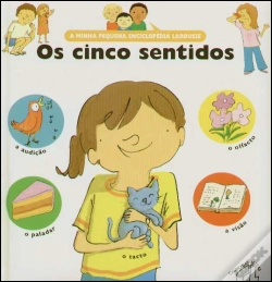 Capa do artigo Os Cinco Sentidos