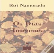 Os Dias Imensos