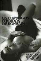 Os Flamingos Perdidos de Bombaim