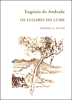 Capa do artigo Os Lugares do Lume