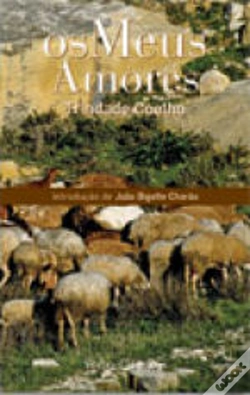Capa do artigo Os Meus Amores