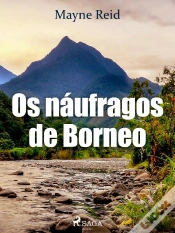 Capa do artigo Os Náufragos De Borneo