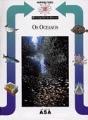 Os Oceanos - Preview