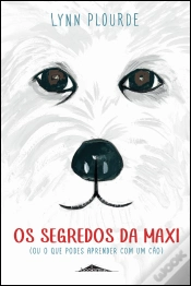 Capa do artigo Os Segredos da Maxi