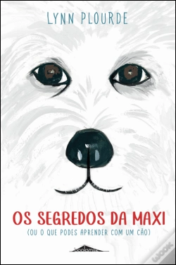 Capa do artigo Os Segredos da Maxi