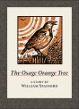 Osage Orange Tree - Preview
