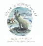Oscar The Hebridean Cat - Preview