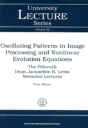 Oscillating Patterns In Image Processing And Nonlinear Evolution Equations - Preview
