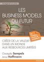 Osez La Strategie Durable - Preview