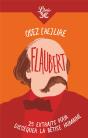 Osez (Re)Lire Flaubert - Preview