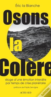 Capa do artigo Osons La Colère : Éloge D