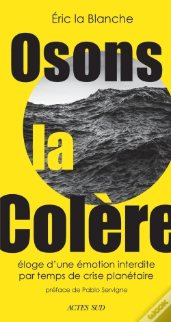 Capa do artigo Osons La Colère : Éloge D'Une Émotion Interdire Par Temps De Crise Planétaire