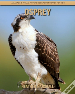 Capa do artigo Osprey