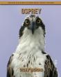 Osprey - Preview