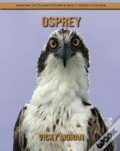 Capa do artigo Osprey