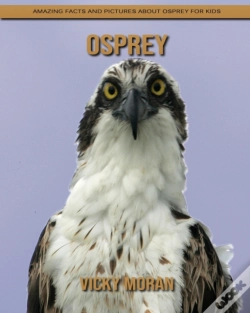 Capa do artigo Osprey