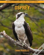 Capa do artigo Osprey