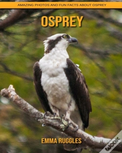 Capa do artigo Osprey