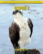 Osprey - Preview