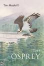 Osprey - Preview