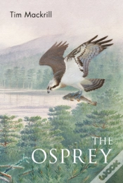 Capa do artigo Osprey