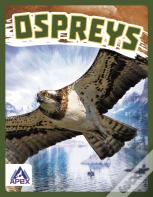 Ospreys