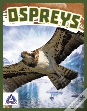 Capa do artigo Ospreys