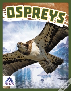 Capa do artigo Ospreys