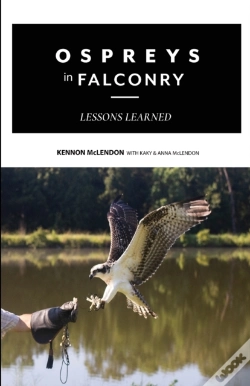 Capa do artigo Ospreys In Falconry