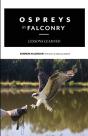 Ospreys In Falconry - Preview