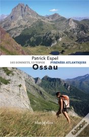 Capa do artigo Ossau