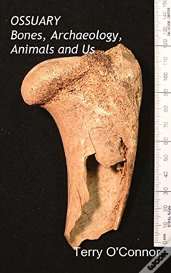 Capa do artigo Ossuary