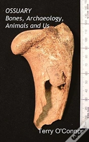 Capa do artigo Ossuary
