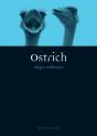Ostrich - Preview