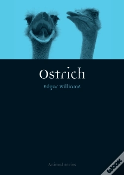 Capa do artigo Ostrich