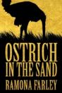 Ostrich In The Sand - Preview