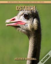 Ostrich