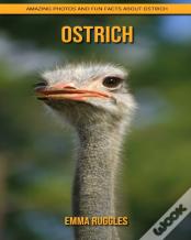 Ostrich
