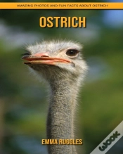 Capa do artigo Ostrich