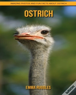 Capa do artigo Ostrich
