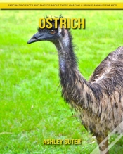 Capa do artigo Ostrich