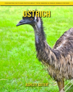 Capa do artigo Ostrich